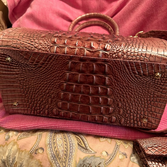 Brahmin - Picture 3 of 7